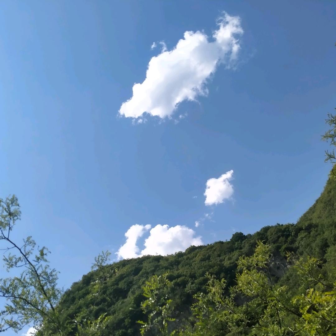 顺哥顺