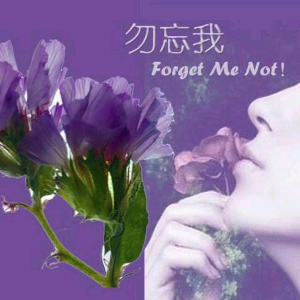 心中的峰