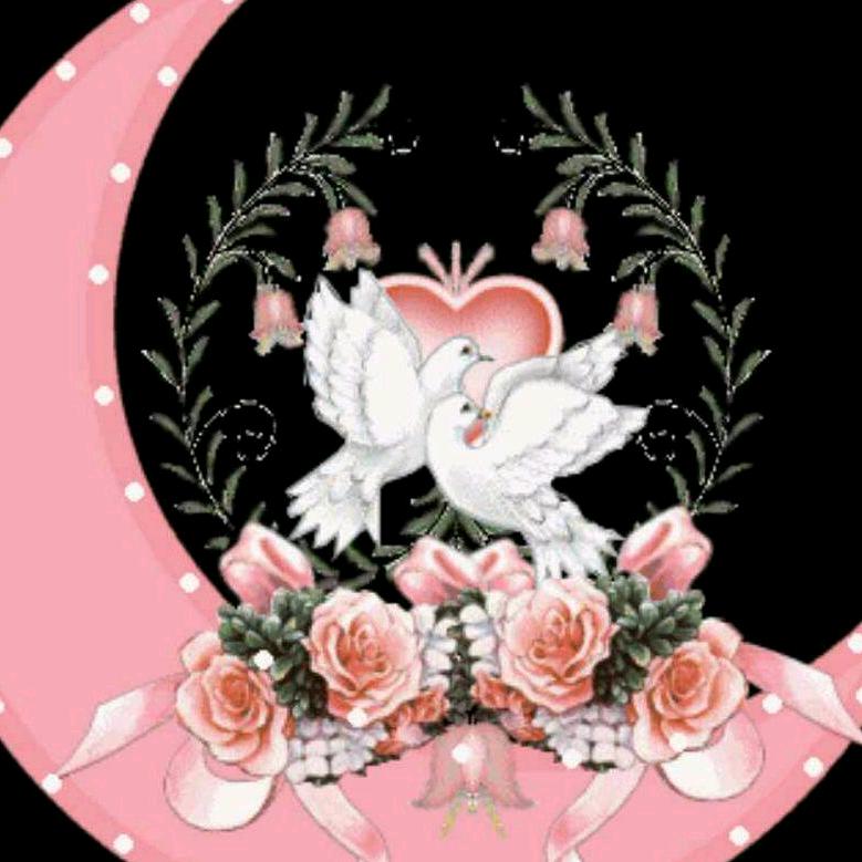 🌹石姥爷🌹渝🌹