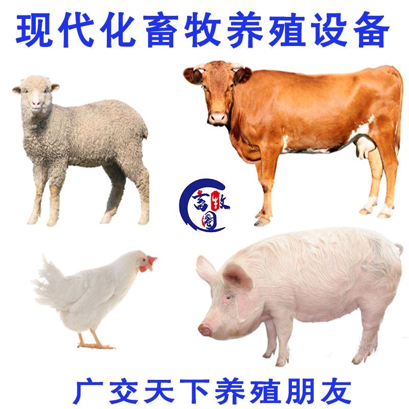 浩克畜牧设备