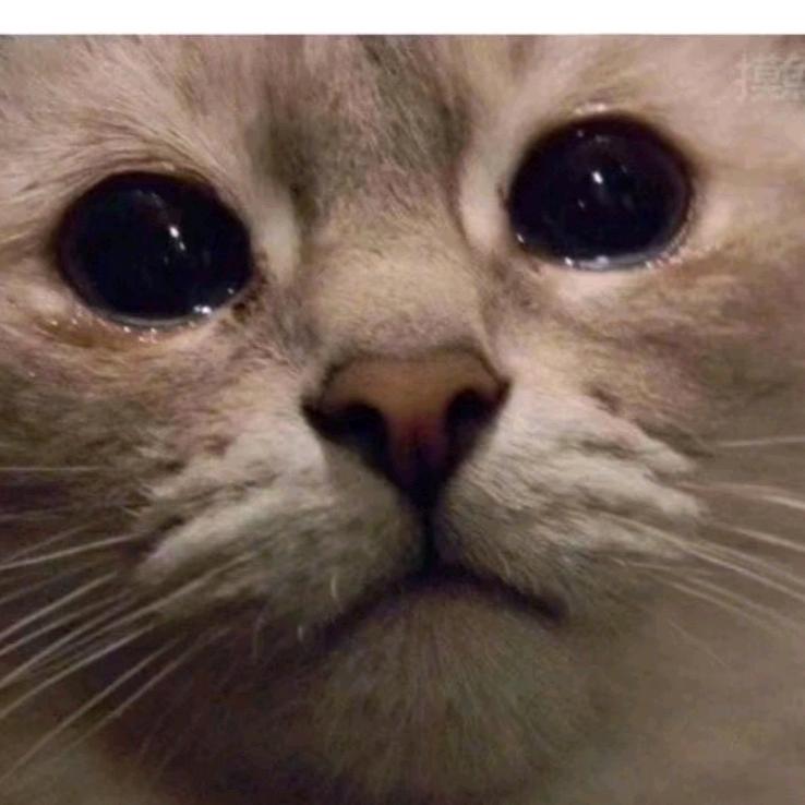 粒子例子栗子！