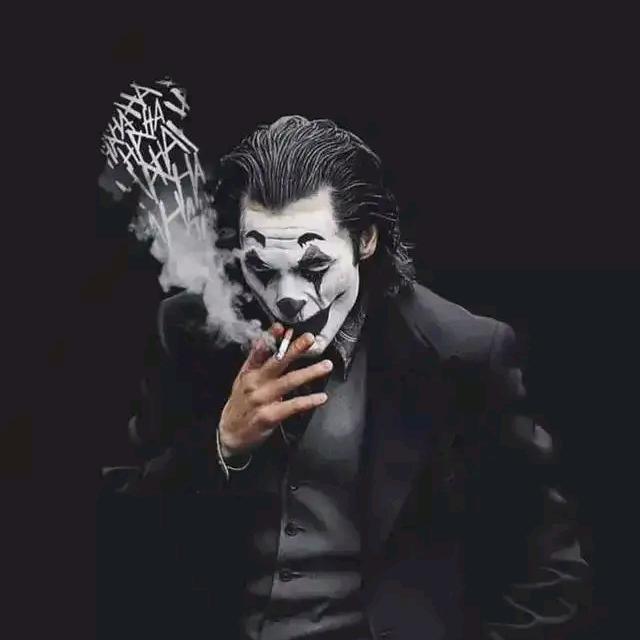 North  wolf
