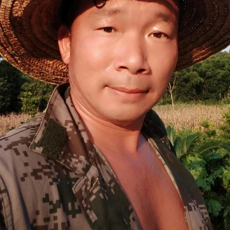 照哥