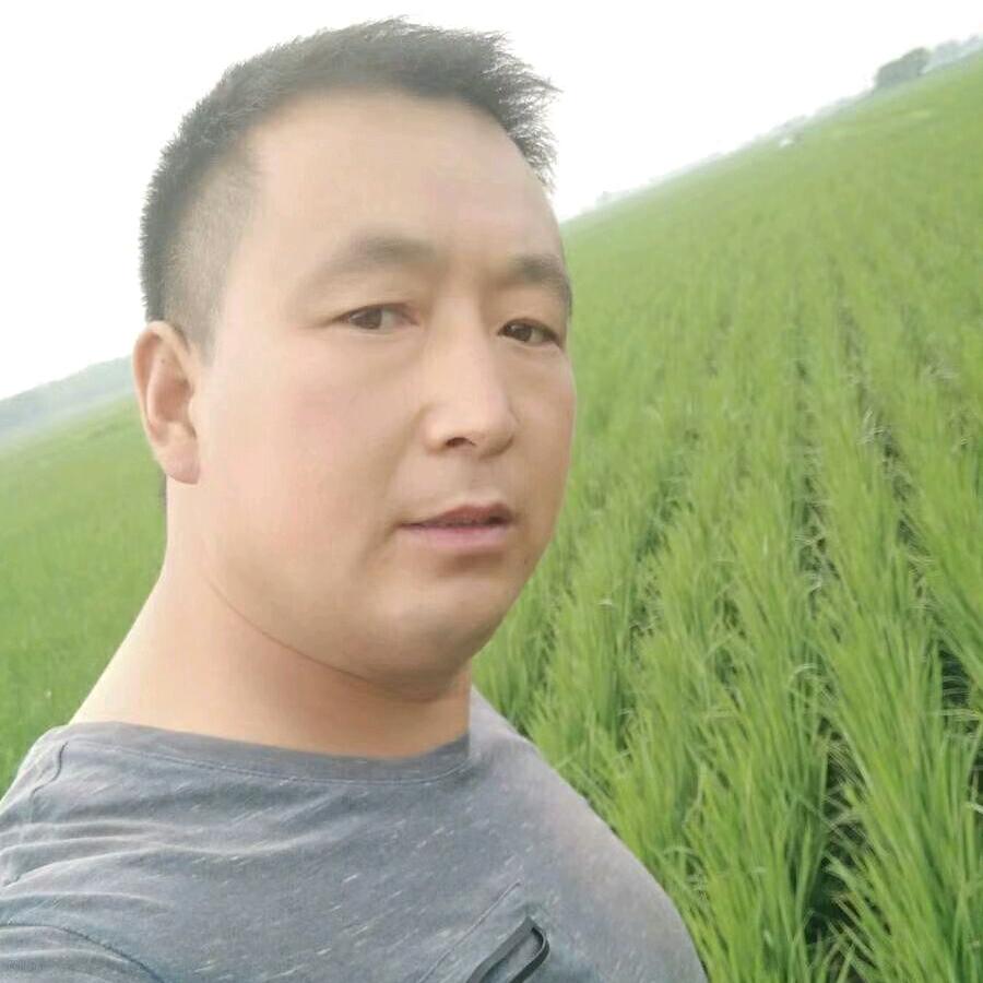 五常稻花香米郑江