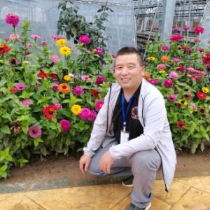 龙的传人