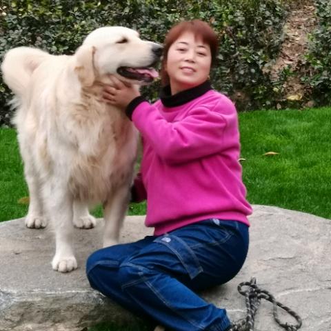 萌娃，萌犬