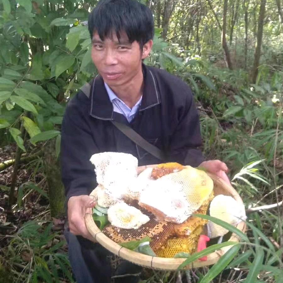 小梁哥:中蜂科学养殖
