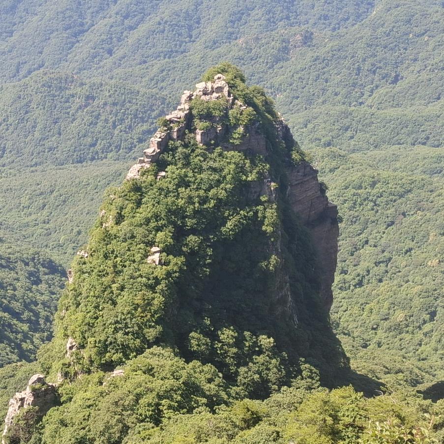 这就是我的职业