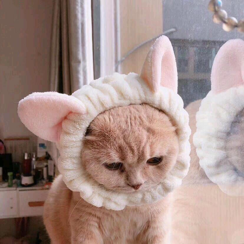 一元糖豆