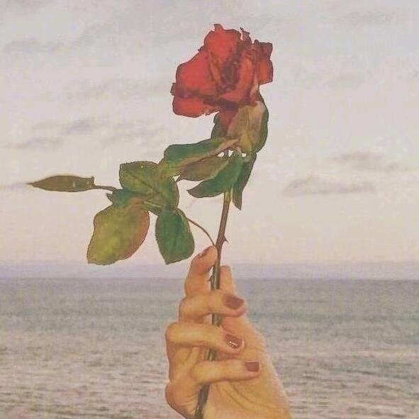 🍃见字如面💕