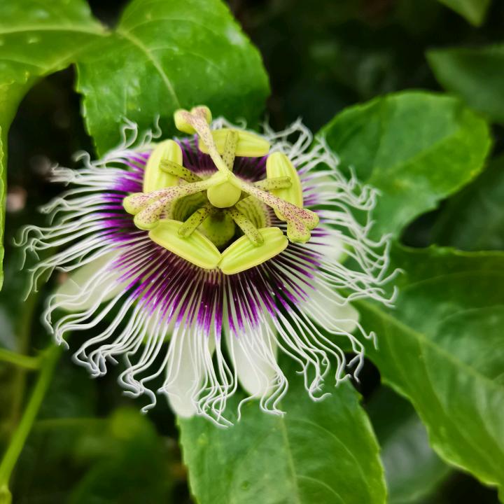 缘分