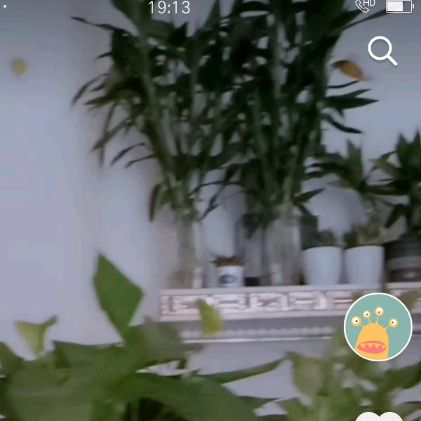 雨后晴天19373539397