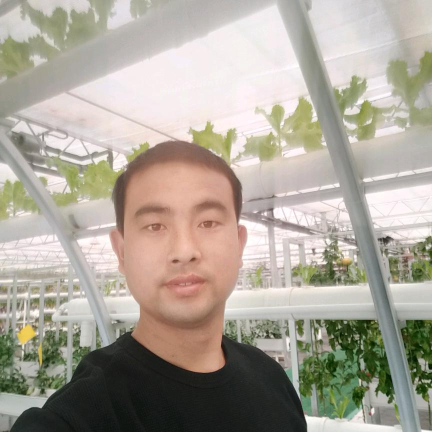 五振电喷——方向机