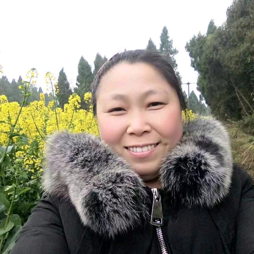 小小燕子