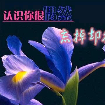 沉  默