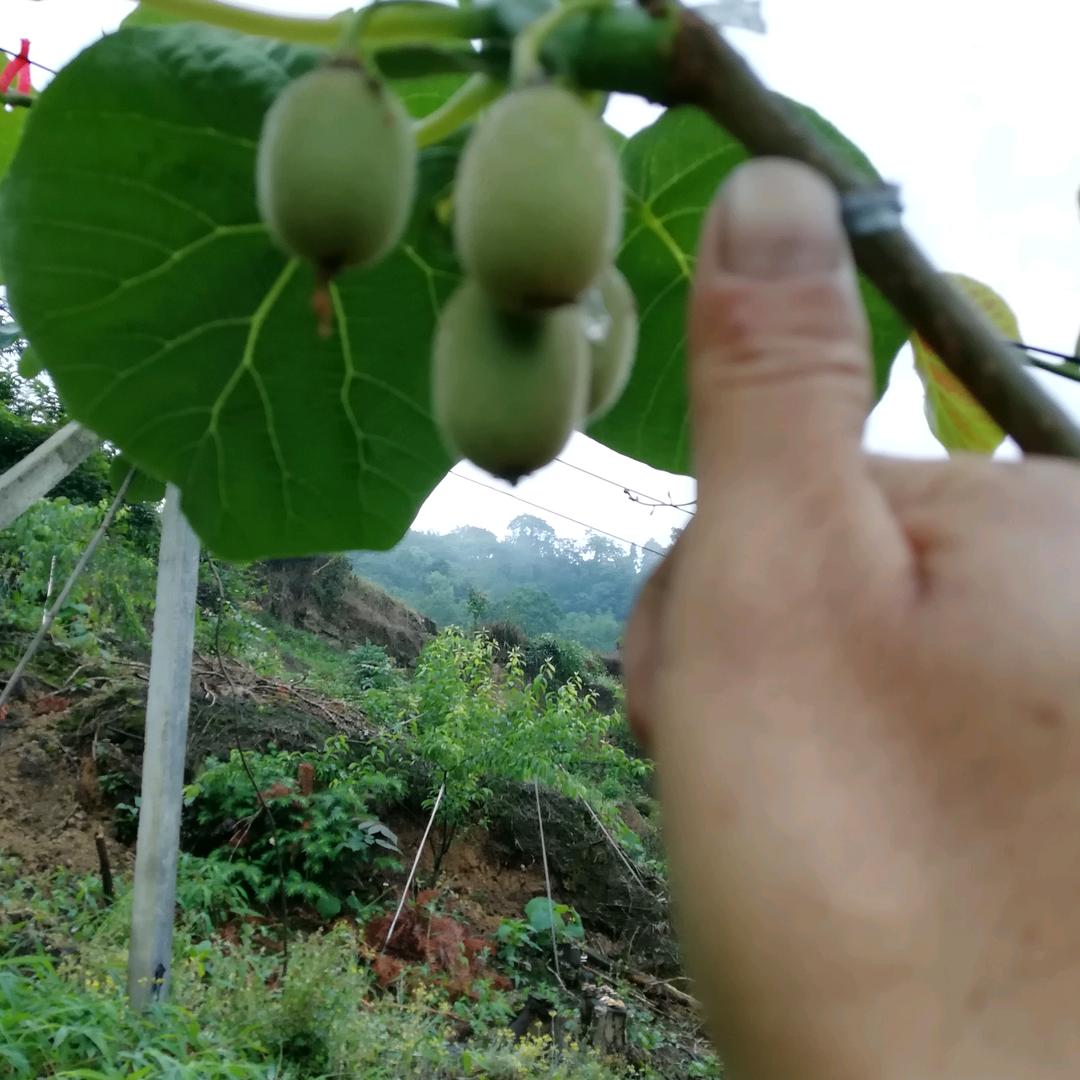 一笑而过