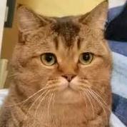 哈还是电话不接