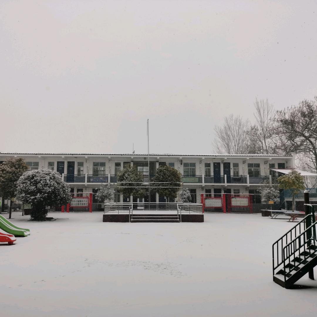 天天