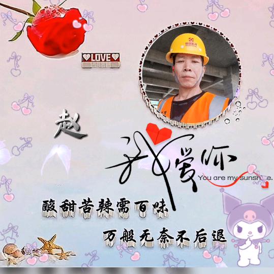 ✨吉✨星☀️高☀️赵☀️