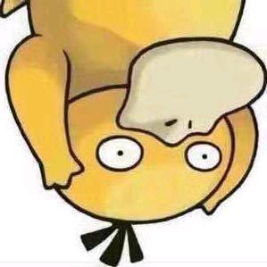 晴天小猪