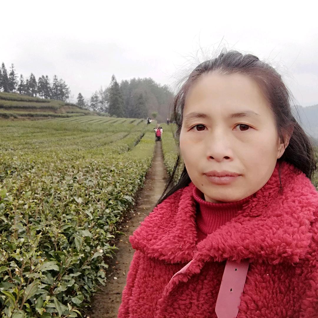 茶农秋姐