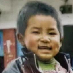 挪威的森林