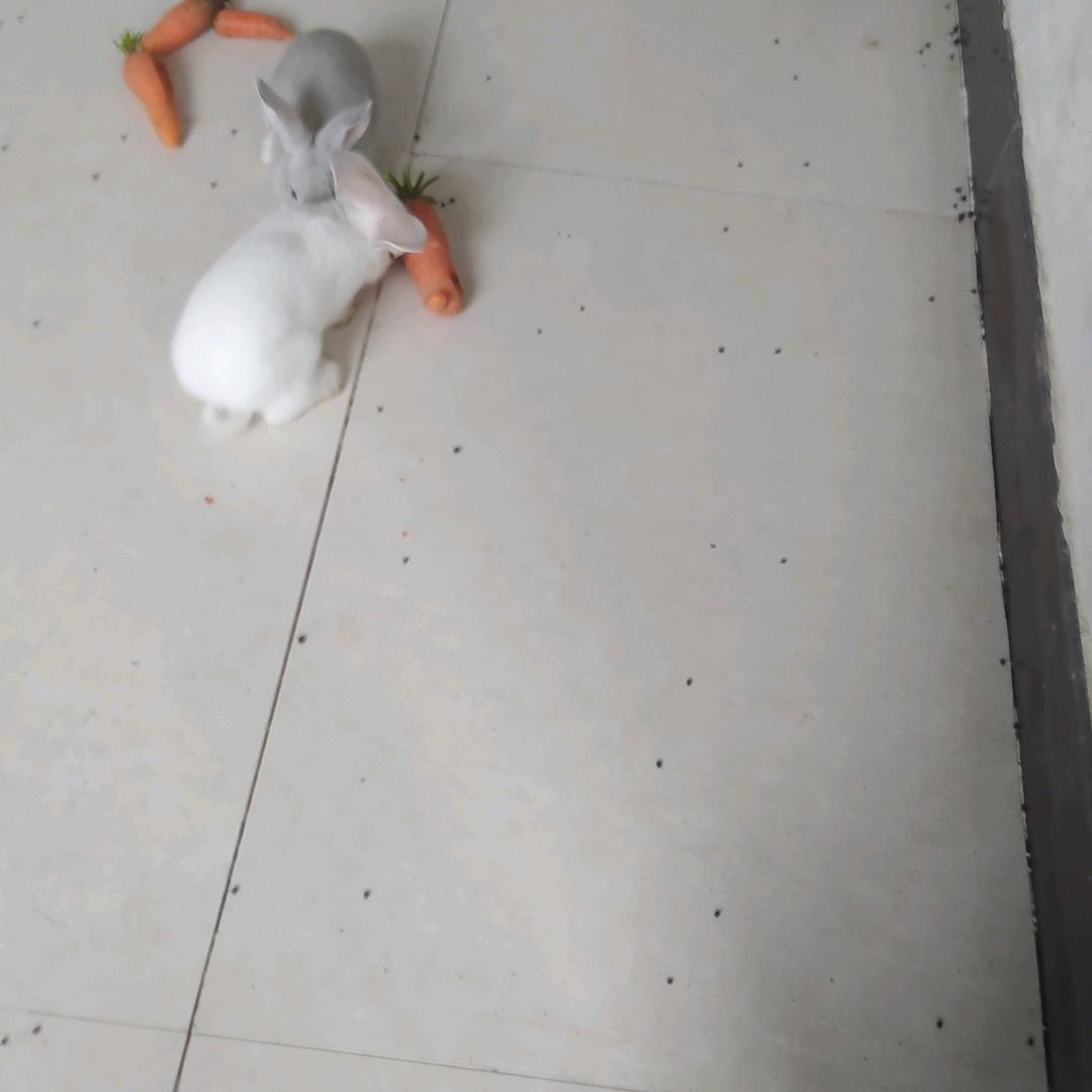 12345678990789965426