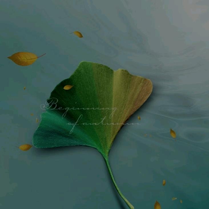 晨陌