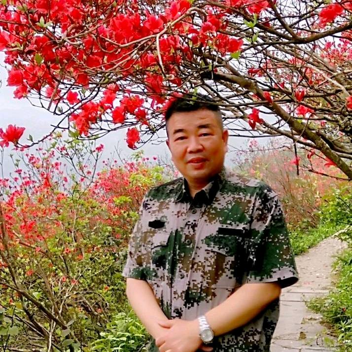 李斌资深媒体人