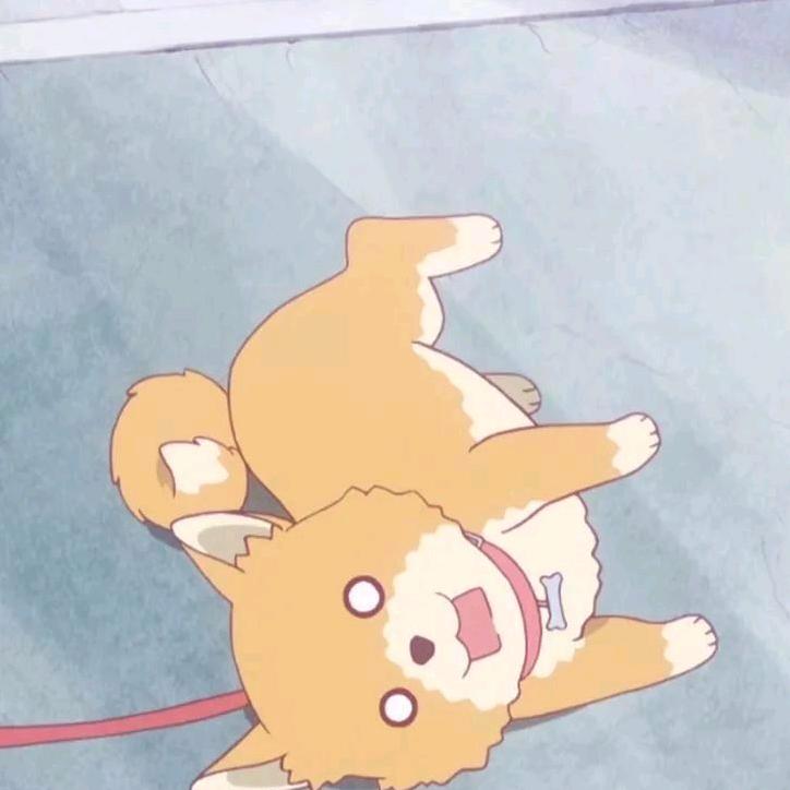 拉布拉多拉的多