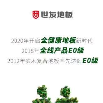 东山岛世友地板专柜…广丰侬