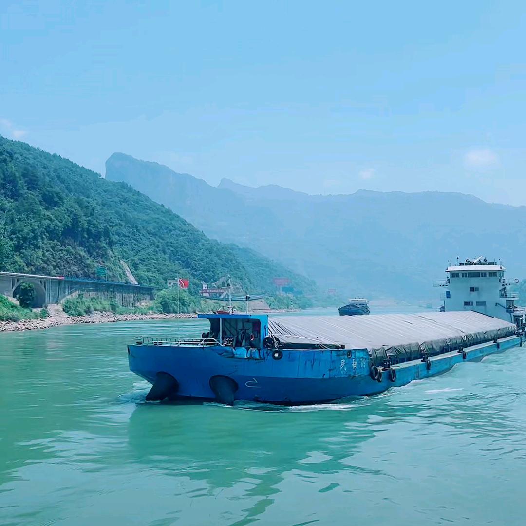 渝忠