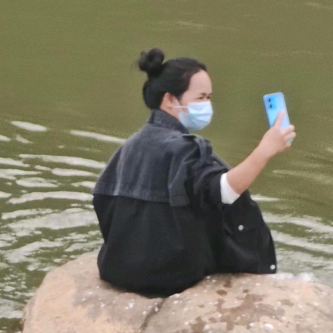 槐花粉