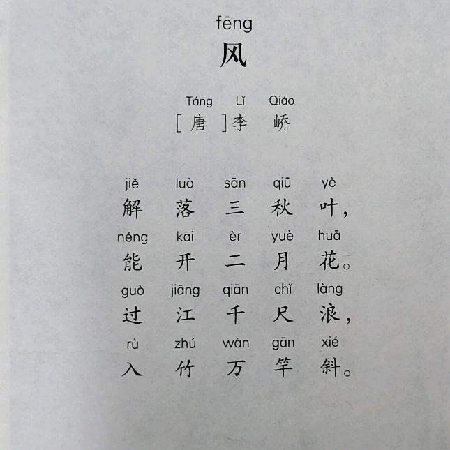 暖阳(｡･ω･｡)