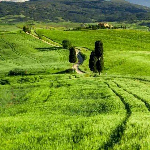 🦋ꦿ໊余生᭄🕊随心᭄