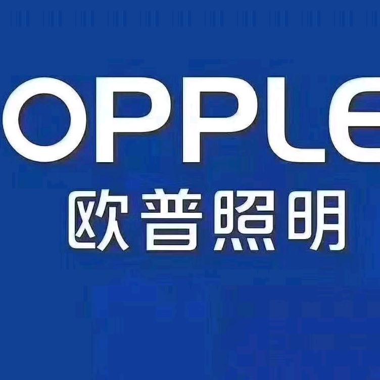 辉煌灯饰&公牛开关
