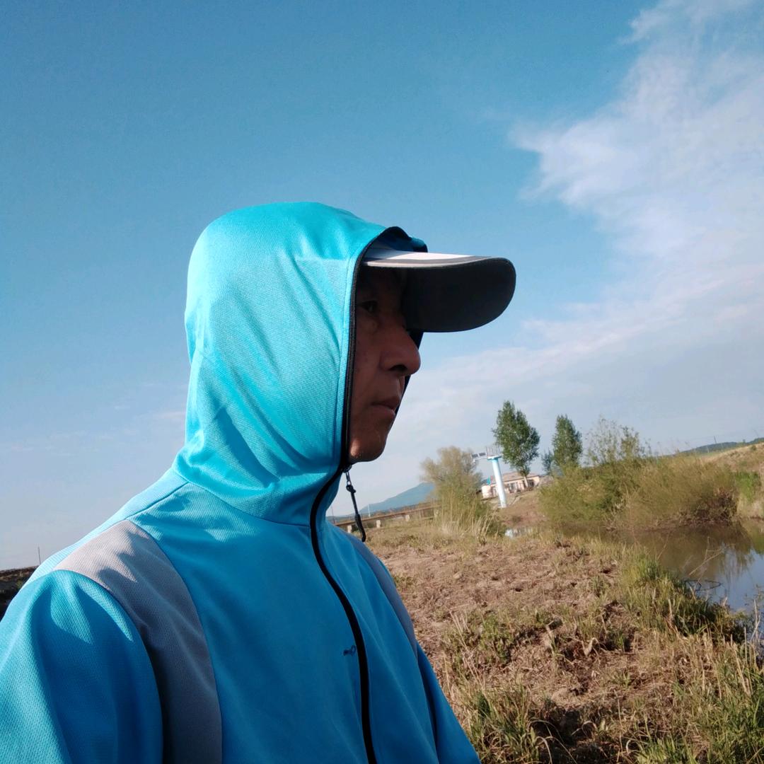 乐视人生