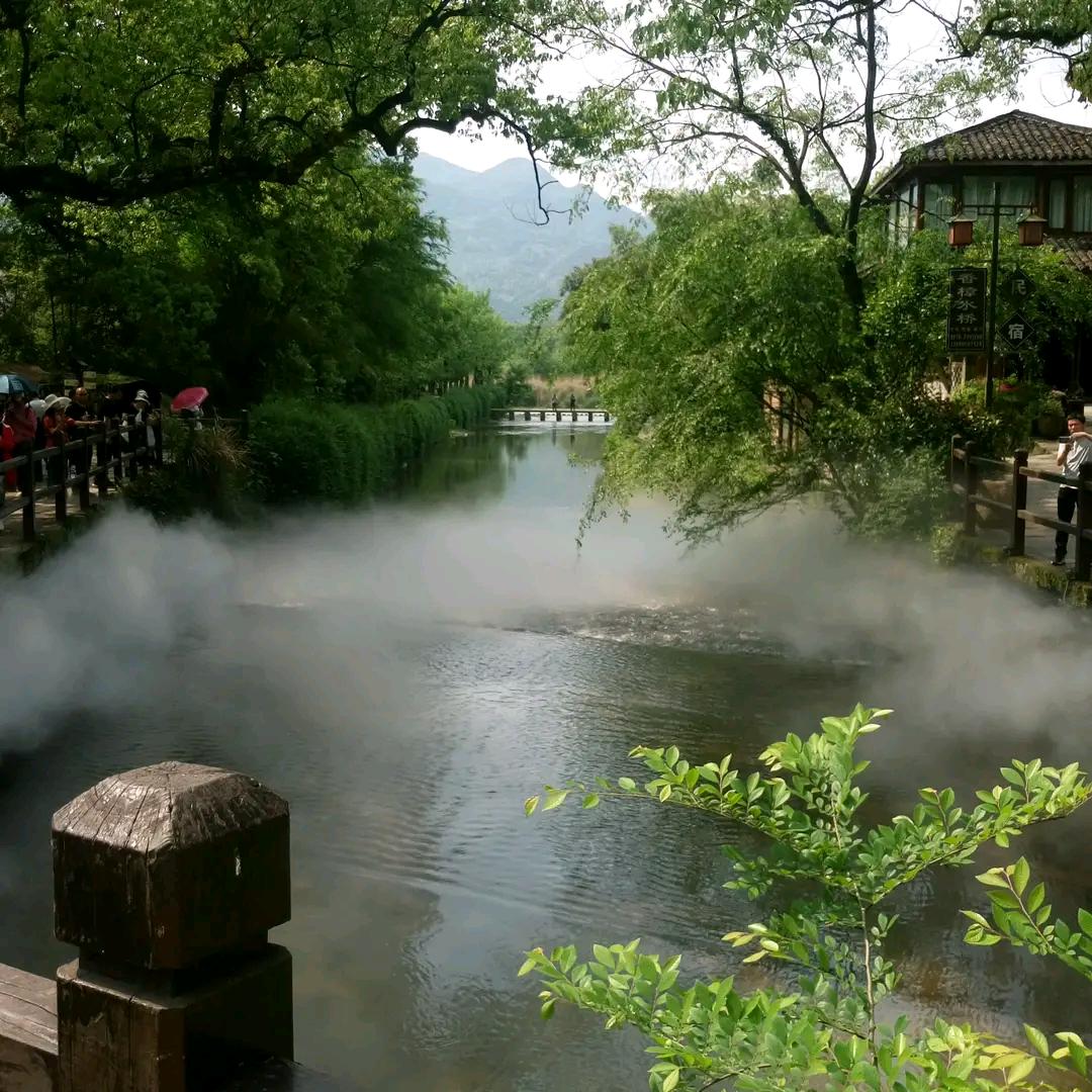 红太狼