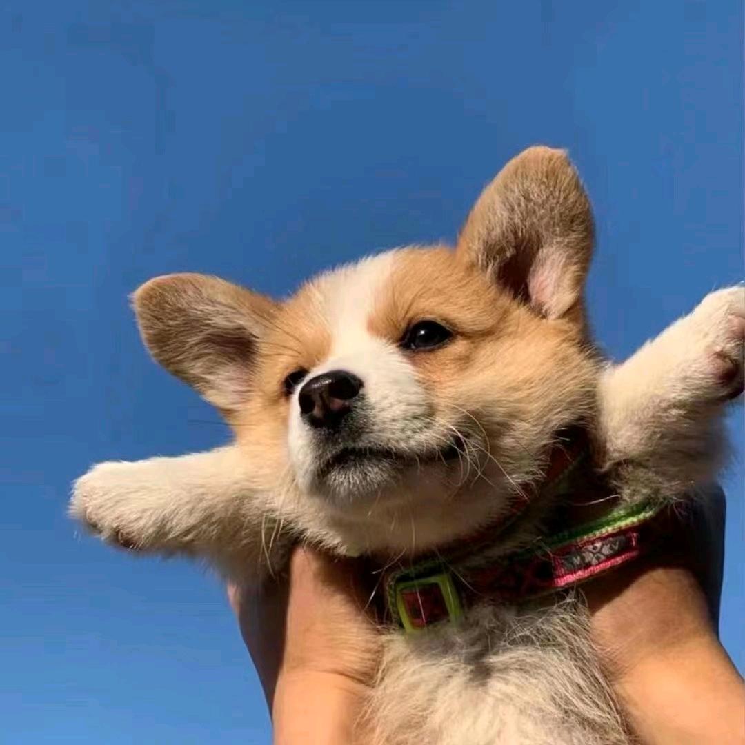 归途~
