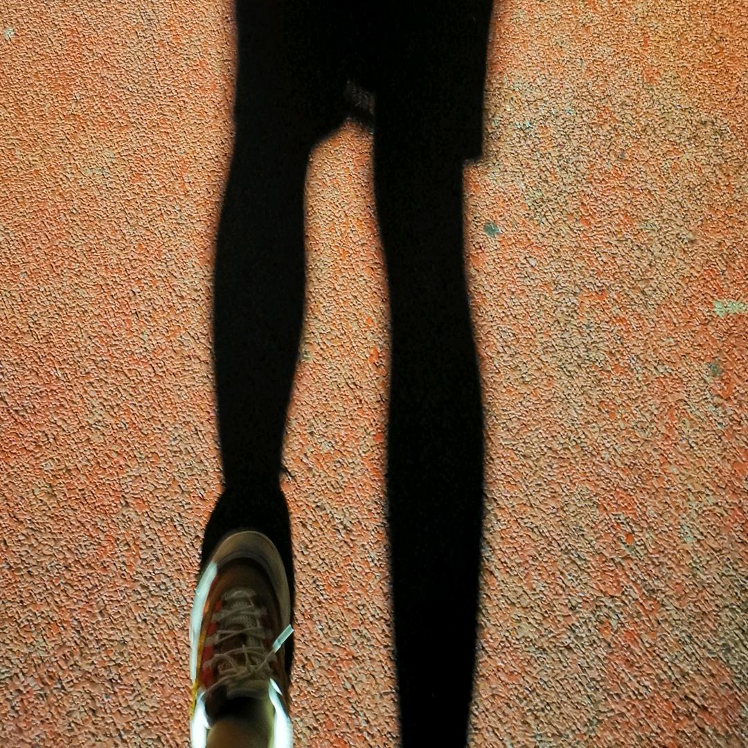 十一是边牧mu