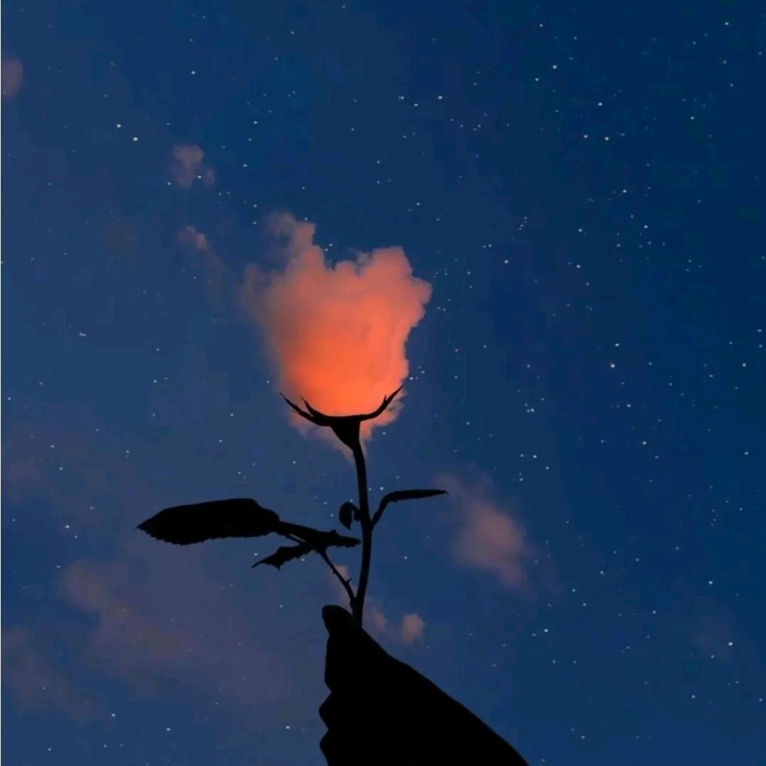有毒的狐狸😈