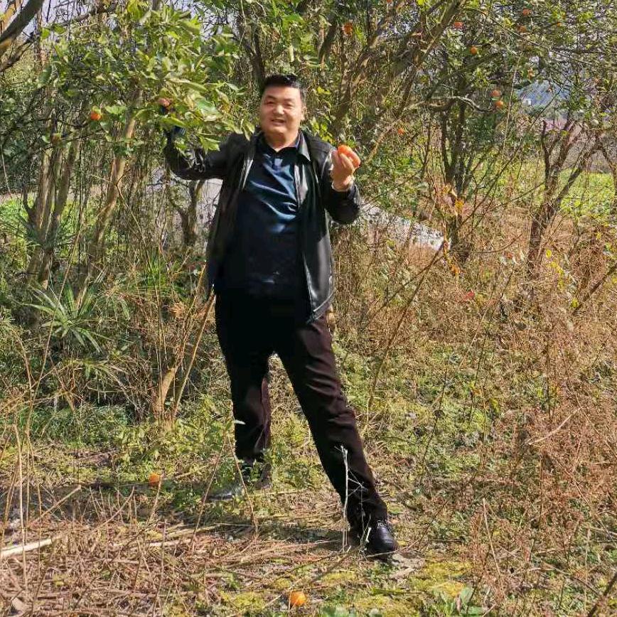 总镖头阿强