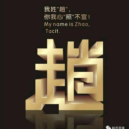 ꧁꫞꯭赵镜子꫞꧂