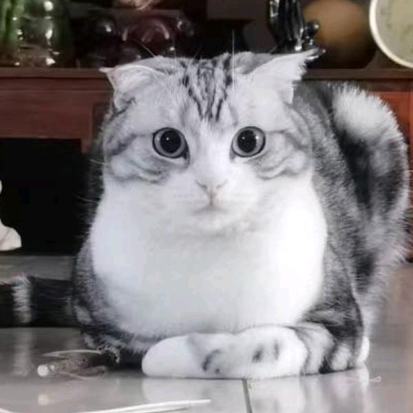 凭海临风