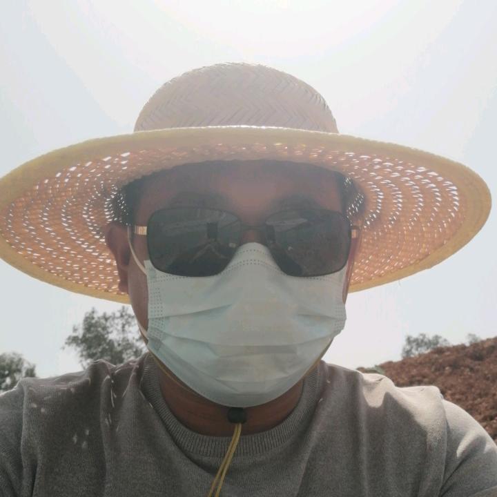 王的天下