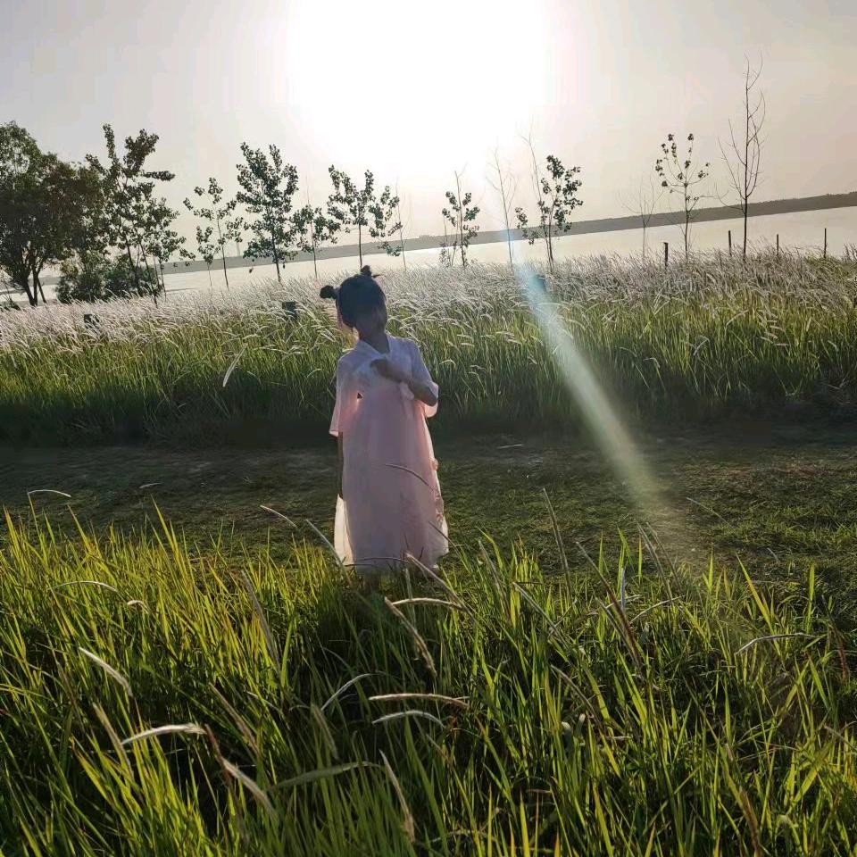 梦想起航