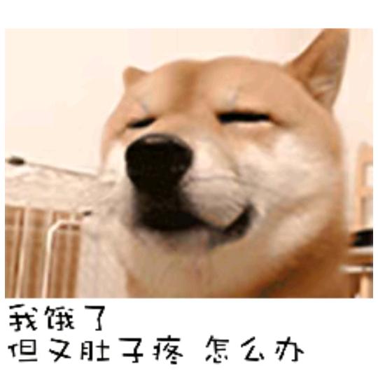 柴大侠