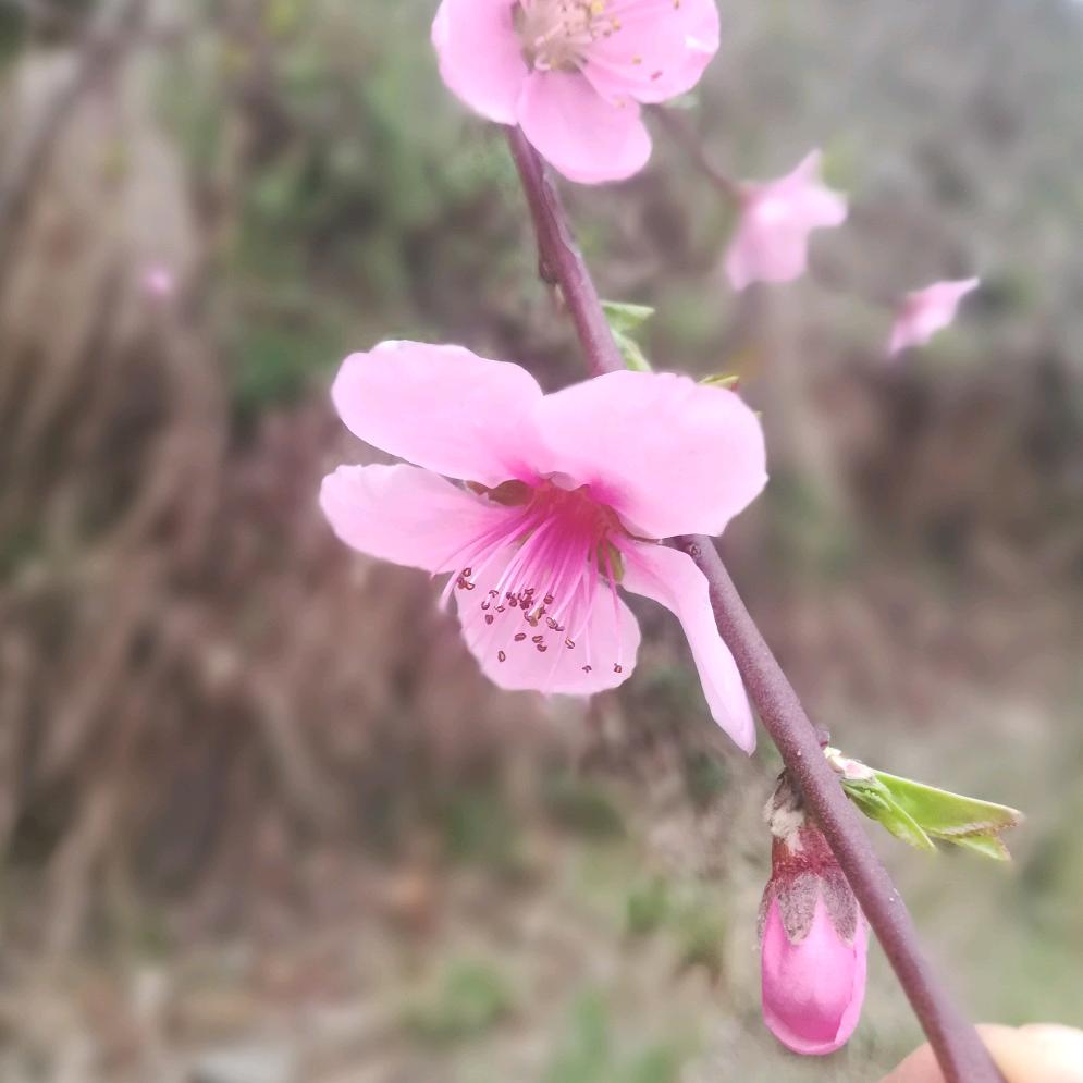 棒棒糖🍭🍭🍭