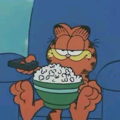 我不是加菲猫