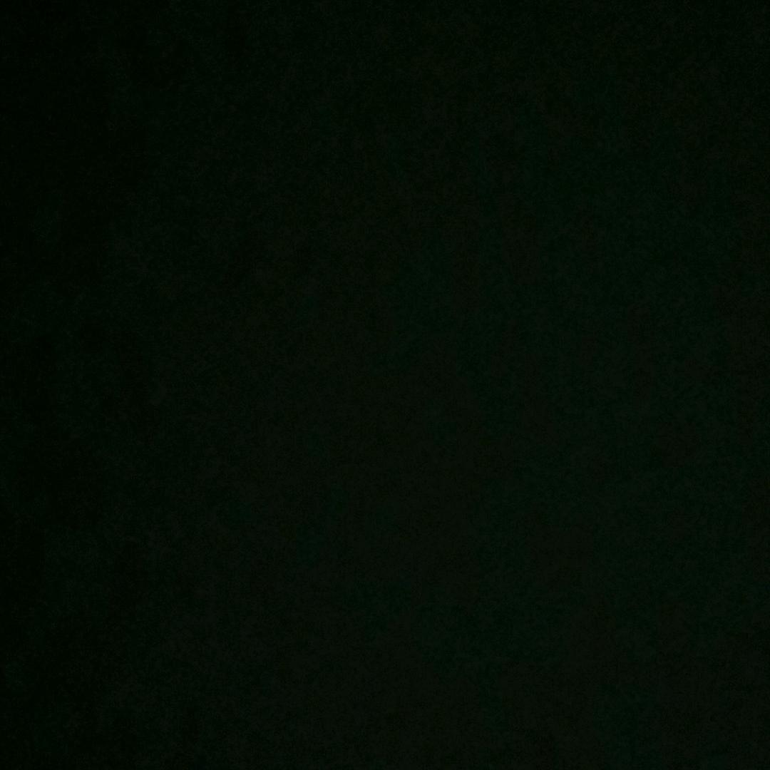 花卉园古天乐